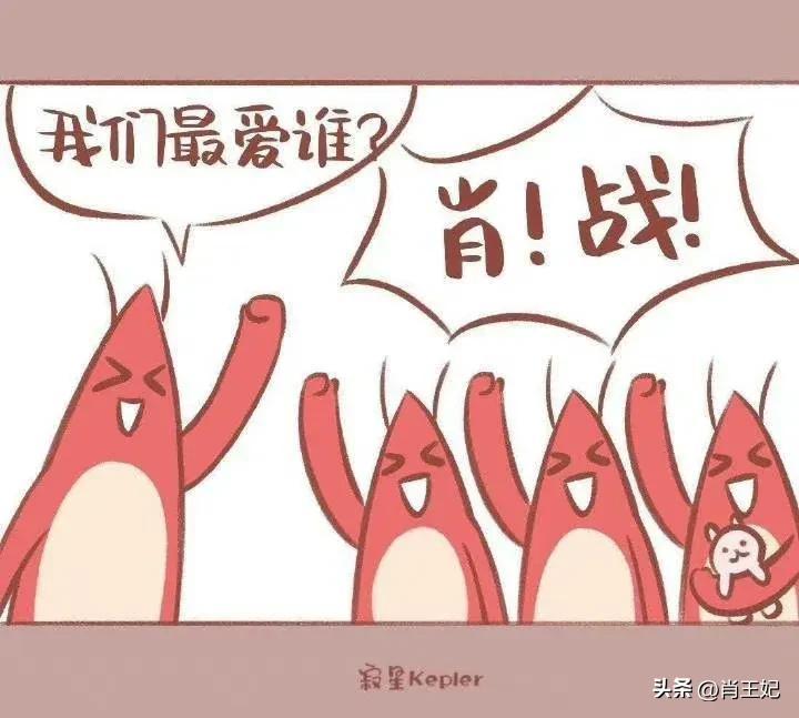 二肖选一肖期期中，策略、挑战与机遇，二选一策略，聚焦生肖彩票的挑战与机遇期期命中