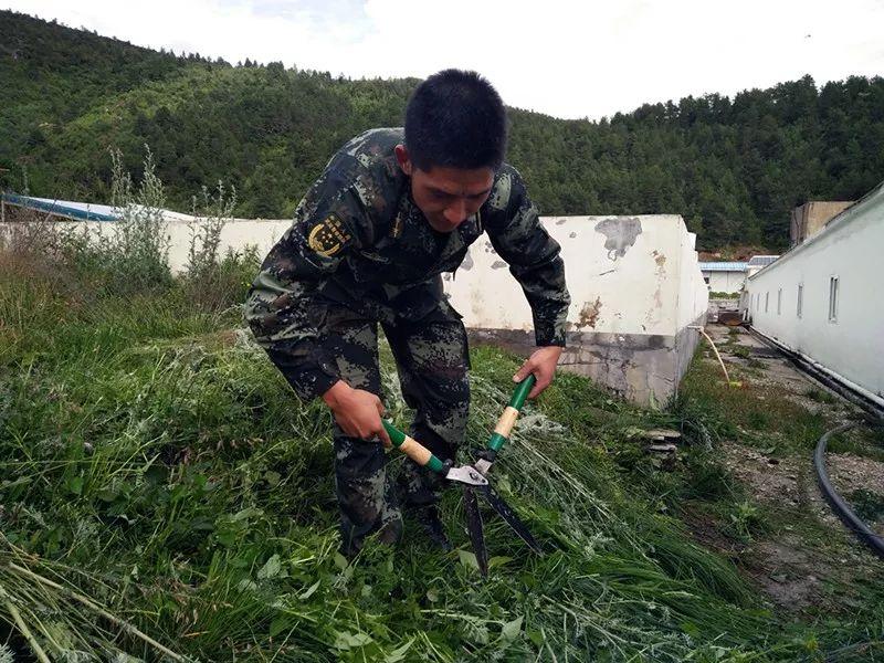 武警特战装甲车，现代战争中的特种利器，武警特战装甲车，现代战争的特种利器霸主