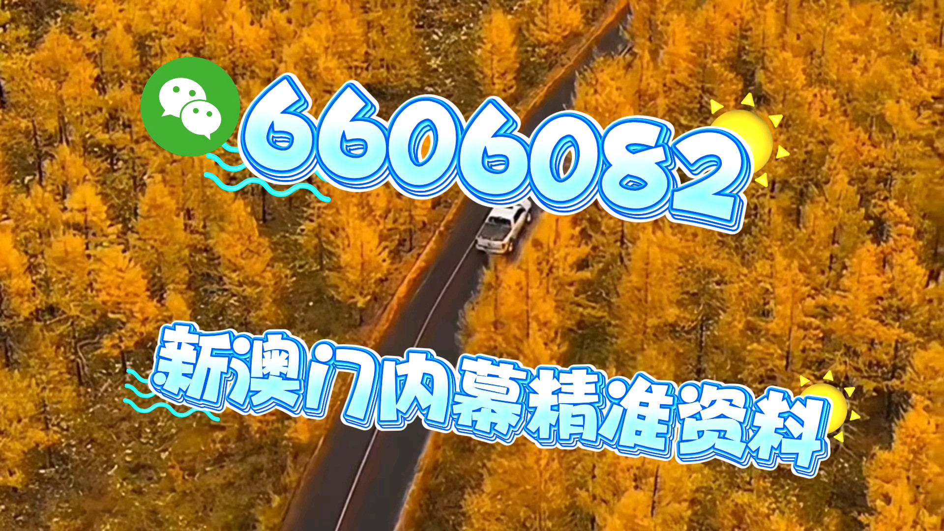 澳门一码一肖，预测的准确性及其背后的文化现象，澳门一码一肖预测准确性背后的文化现象探究