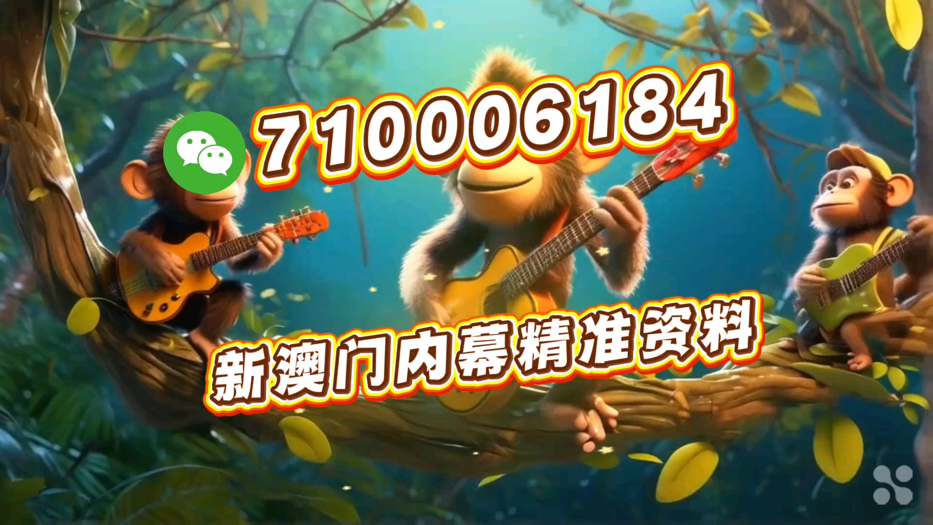 澳门一肖一码特准,揭秘预测背后的秘密,澳门一肖一码特准揭秘,预测背后的真相探索