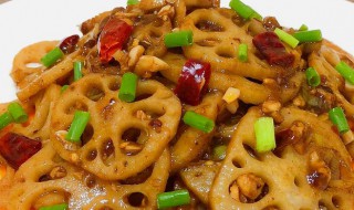 家常藕的做法大全,美味藕菜的制作技巧,家常藕菜制作指南,美味藕的做法与技巧大全