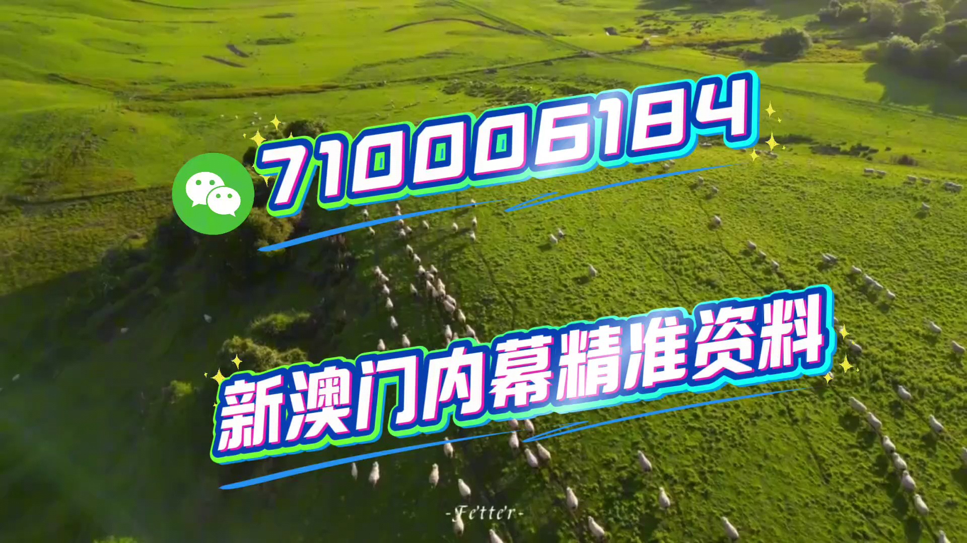 澳门特马今晚开奖,探索彩票背后的故事与未来展望,澳门特马今晚开奖,探索彩票背后的故事与未来展望揭秘