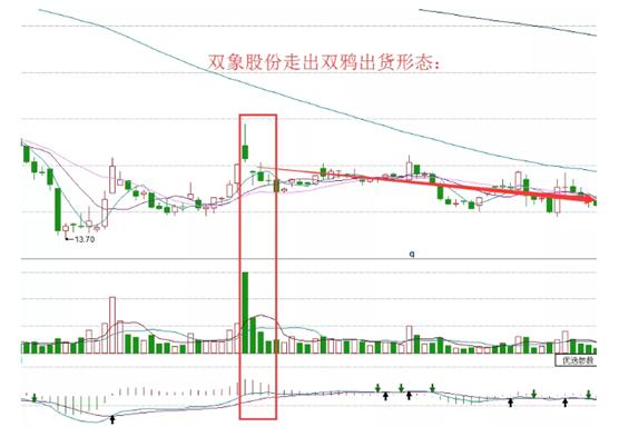 探索双象股份股吧的独特魅力,一场深度解析之旅,双象股份股吧深度解析之旅,独特魅力一览无遗