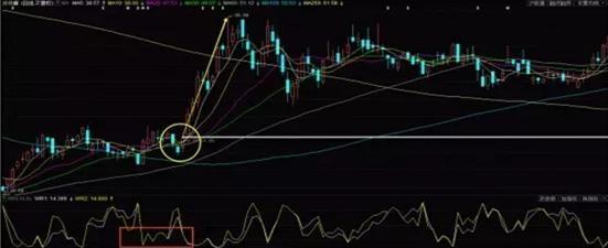 片仔癀股票最新消息深度解析,片仔癀股票最新消息全面深度解析