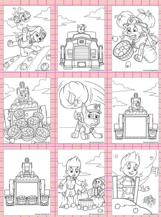 影视娱乐新天地探索