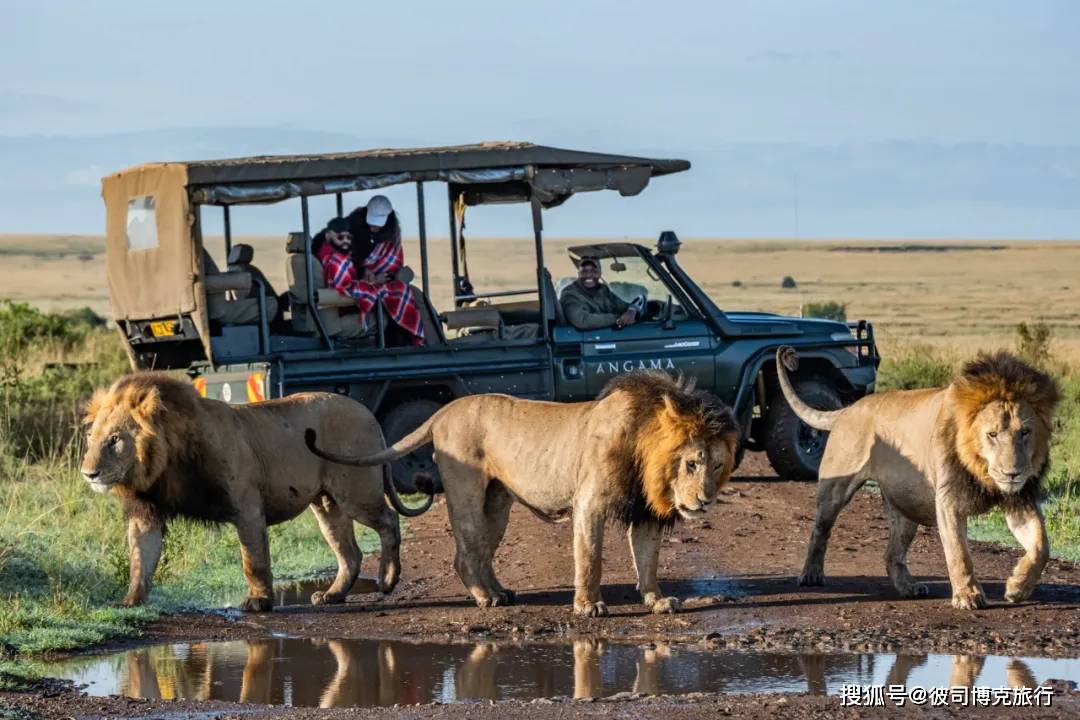 新澳2025今晚开奖资料四不像,探索与解析,新澳2025今晚开奖资料深度解析与探索四不像现象