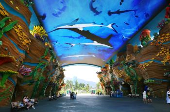 珠海长隆海洋王国门票价格详解,一张门票的价值与体验,珠海长隆海洋王国门票详解,价值与体验之旅