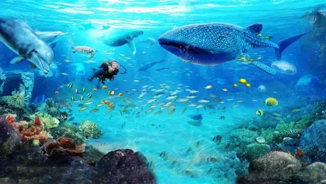 珠海长隆海洋王国门票价格详解,一张门票的价值与体验,珠海长隆海洋王国门票详解,价值与体验之旅