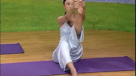 瑜伽入门教学视频，引领你走进瑜伽的世界，瑜伽入门指南，专业教学视频带你走进瑜伽世界