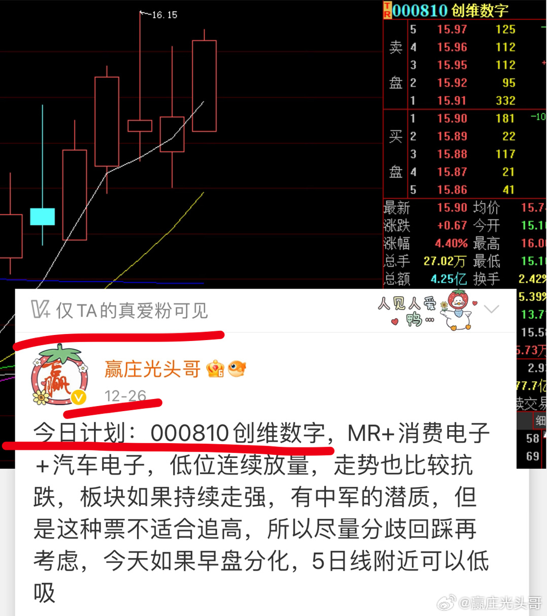 深度解析，关于01810股票的全面观察，关于股票01810的全面深度观察分析