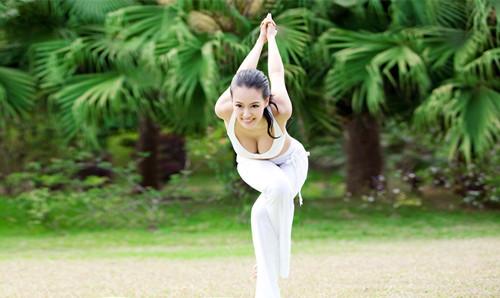 蕙兰瑜伽初级简易系列第二辑,探索瑜伽之美的旅程,蕙兰瑜伽初级简易系列第二辑,瑜伽之美的探索旅程