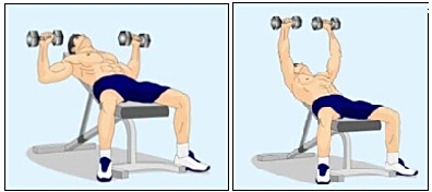 哑铃锻炼方法视频教程,全面指导你的健身之路,哑铃锻炼全方位指南,视频教程助你开启健身之旅