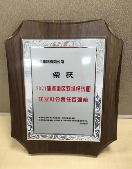 太极集团,国企还是央企?解析其身份与特点,太极集团,国企还是央企?深度解析身份与特色