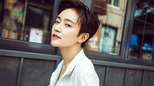 袁姗姗为何不火了，从巅峰到平淡的轨迹探究，袁姗姗从巅峰到平淡，探究其不再火爆的原因