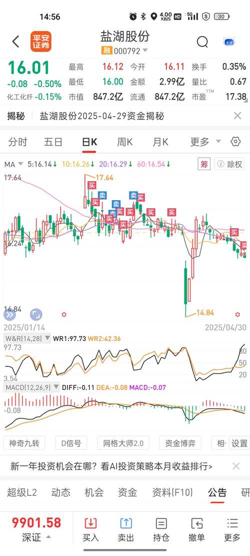 盐湖股票行情深度解析，盐湖股票行情全面解析与深度探讨