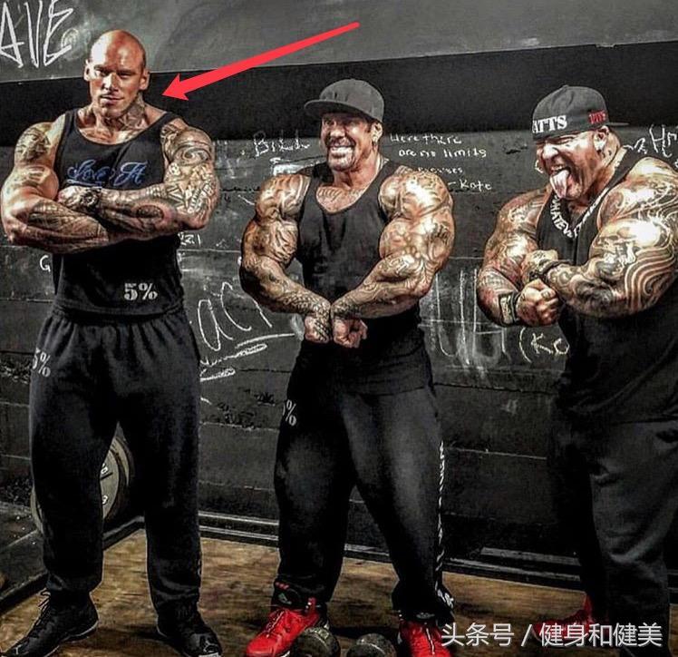 健美网红,塑造新时代的健身风尚与影响力,健美网红塑造新时代的健身风尚与影响力标杆