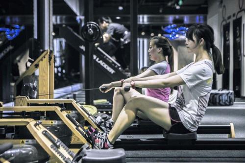 健身房请教练有必要吗,深度探讨私人教练的价值与影响,深度探讨,健身房私人教练的必要性及其价值与影响