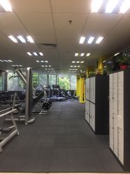 健身房与工作室，运动锻炼的最佳选择探讨，健身房与工作室，运动锻炼的最佳选择深度探讨