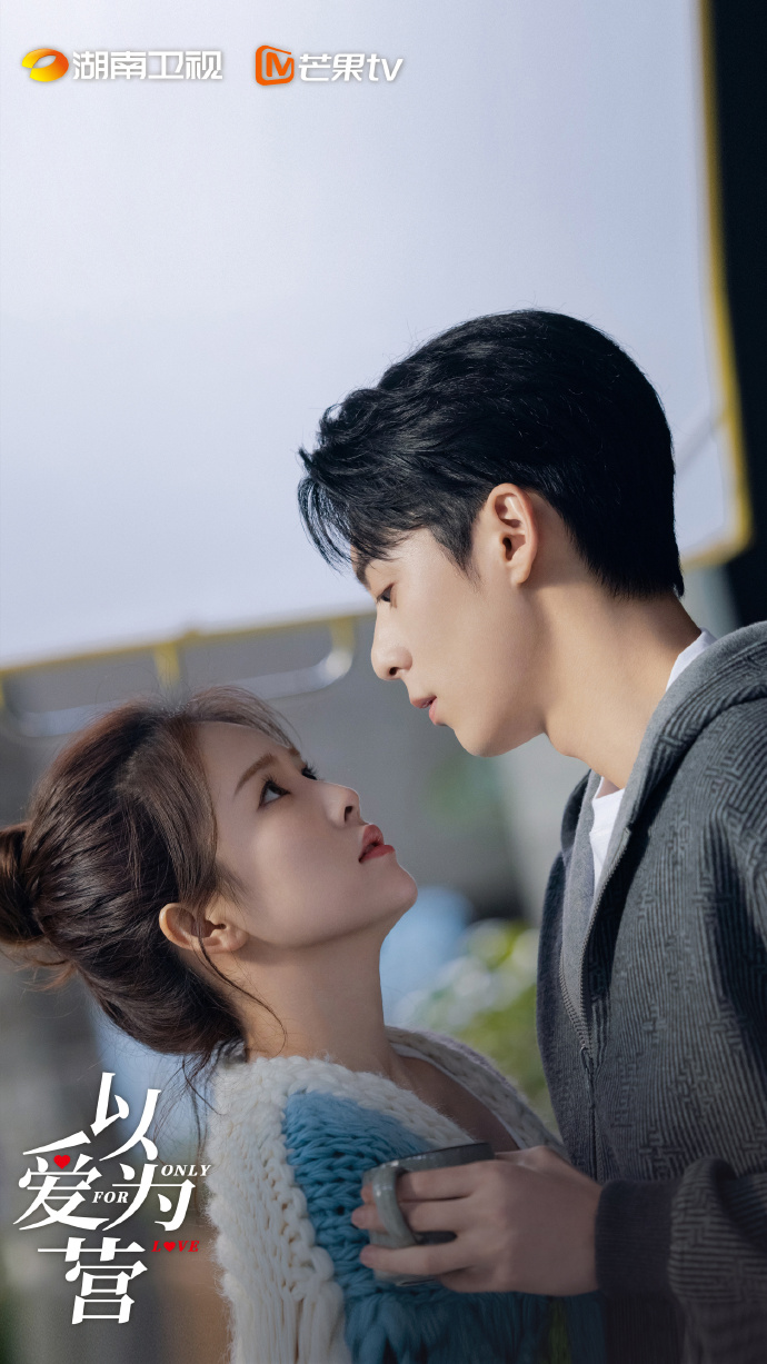 以爱为营,电视剧中的情感与人生,以爱为营,电视剧中的情感与人生之旅