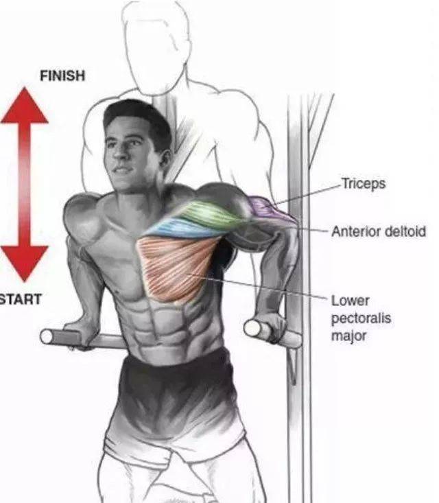 练出胸肌的最快方法,理论与实践的结合,快速塑造完美胸肌,理论与实践结合的训练方法