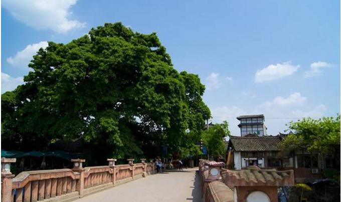 黄龙溪古镇,古韵流淌的千年画卷,黄龙溪古镇,千年古韵的画卷